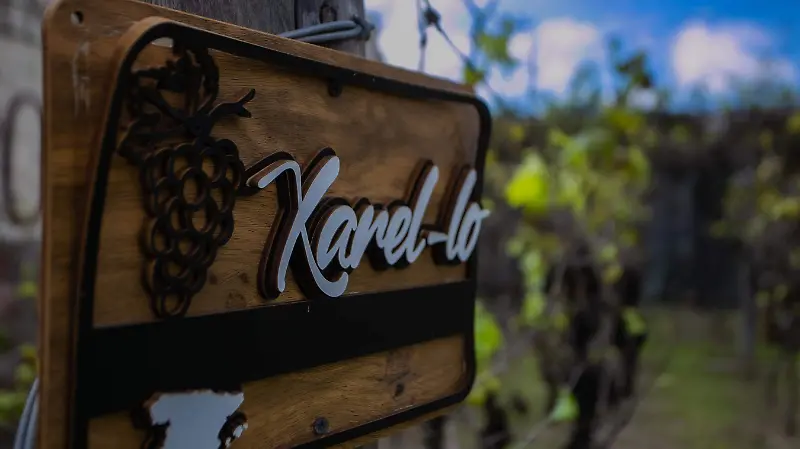 Vinícola-San-Patricio 